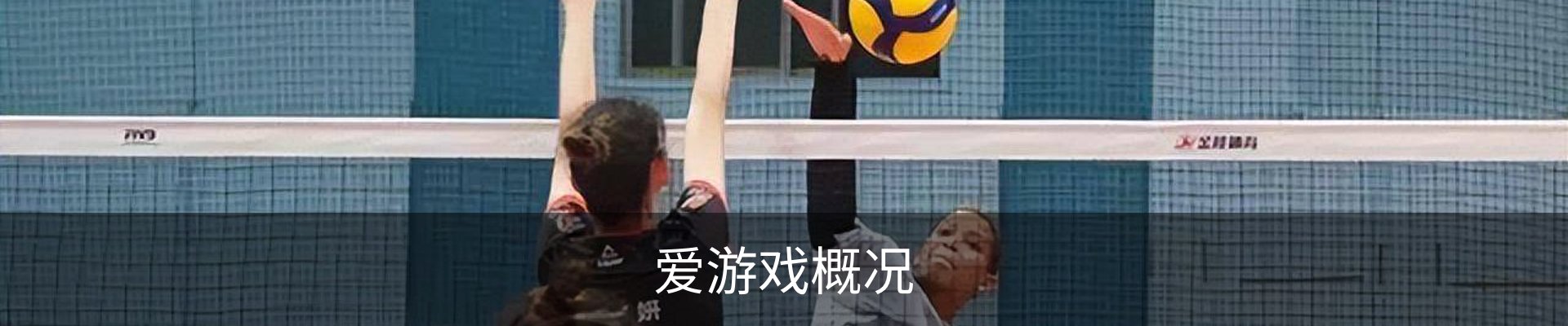 爱游戏概况